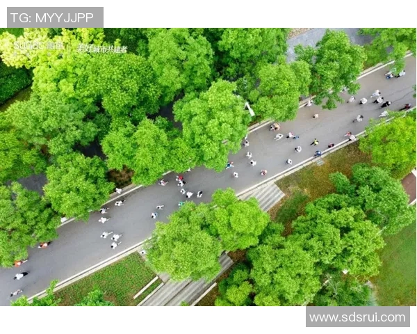 武汉攀岩队速度对比独家解析及未来发展趋势展望 武汉攀岩队速度对比独家解析及未来发展趋势展望