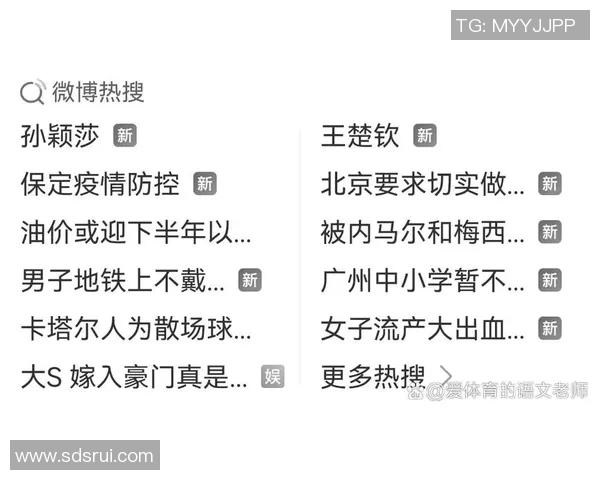 杭州排球队实力引发热议球迷观点各异引发关注