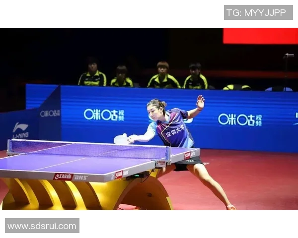 深入分析上海排球队的控制打法与战术优势探讨