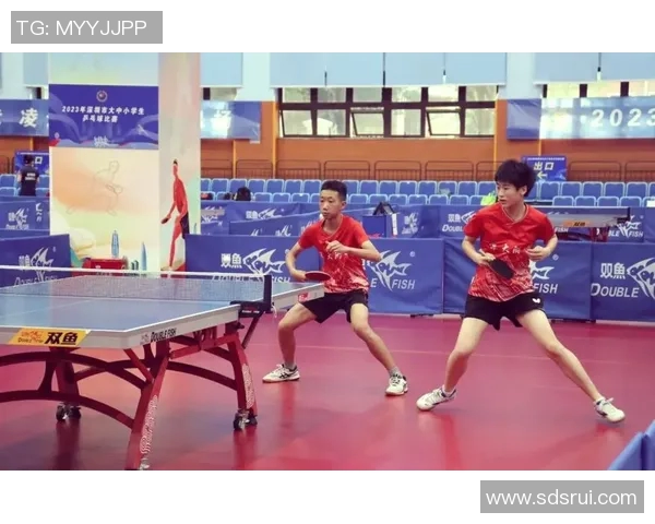 深圳乒乓球队在全国锦标赛中的强势表现与未来发展潜力分析 深圳乒乓球队在全国锦标赛中的强势表现与未来发展潜力分析