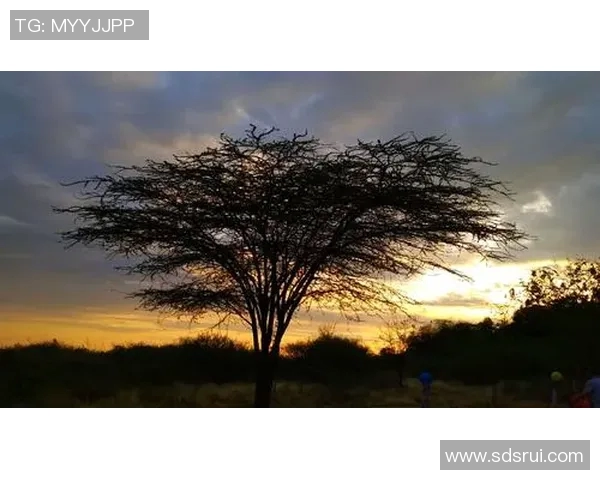 足球明星前女友广州探秘她的生活与时尚之旅 足球明星前女友广州探秘她的生活与时尚之旅