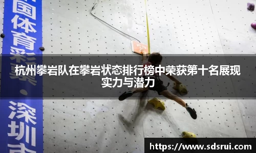 DG视讯