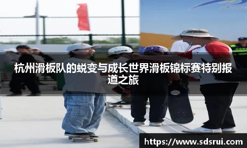 DG视讯