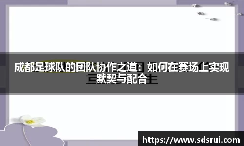 成都足球队的团队协作之道：如何在赛场上实现默契与配合
