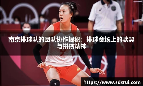 南京排球队的团队协作揭秘：排球赛场上的默契与拼搏精神