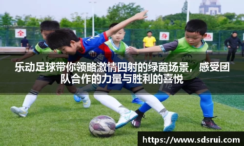 乐动足球带你领略激情四射的绿茵场景，感受团队合作的力量与胜利的喜悦
